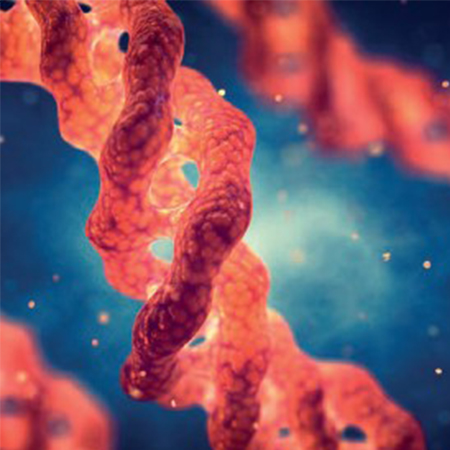 Proteomo galia: ląstelių ilgaamžiškumo paslaptis