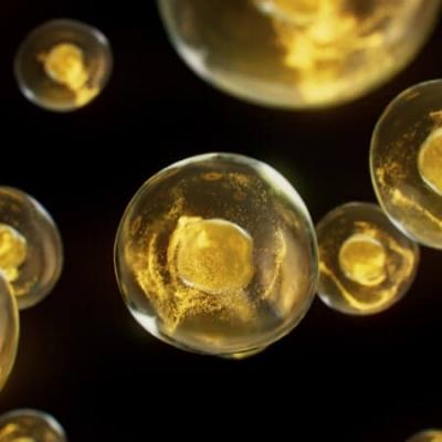 Ląstelių solidarumas: naujovė, padedanti išsaugoti jaunatviškumą